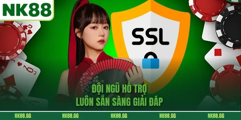 Đội ngũ hỗ trợ luôn sẵn sàng giải đáp 